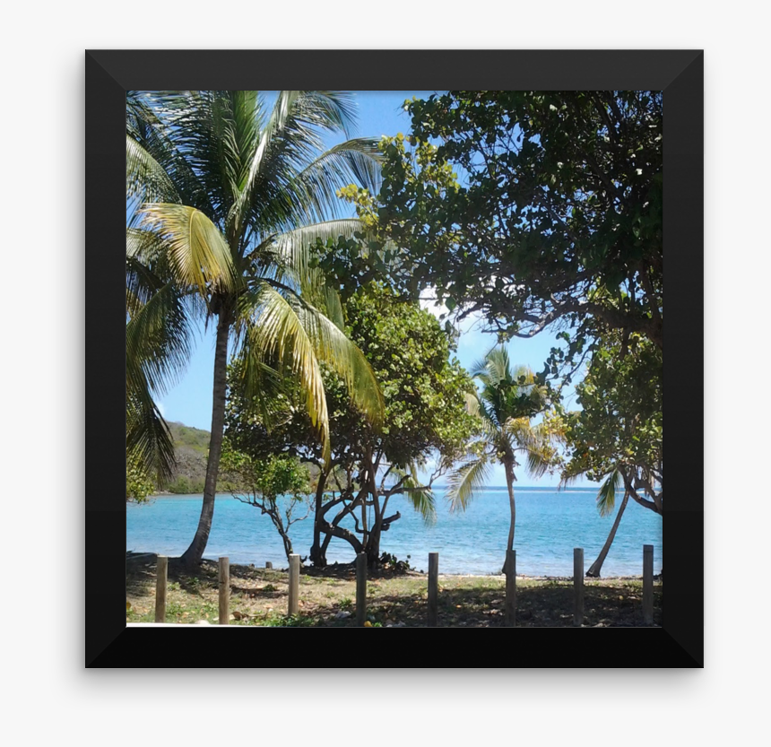 Picture Frame, HD Png Download