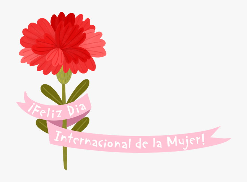 Gerbera, HD Png Download