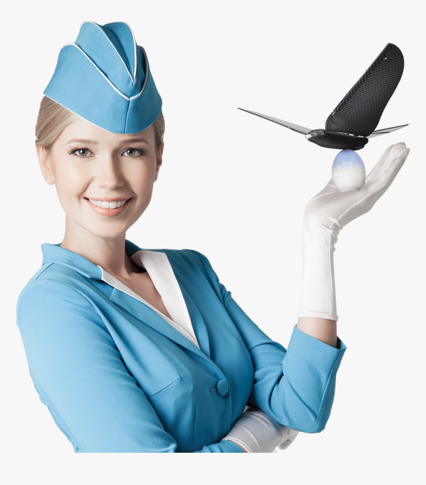 Flight Attendants In Transparent Backgrounds, HD Png Download