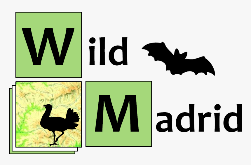 Transparent Murcielagos Png - Turkey, Png Download