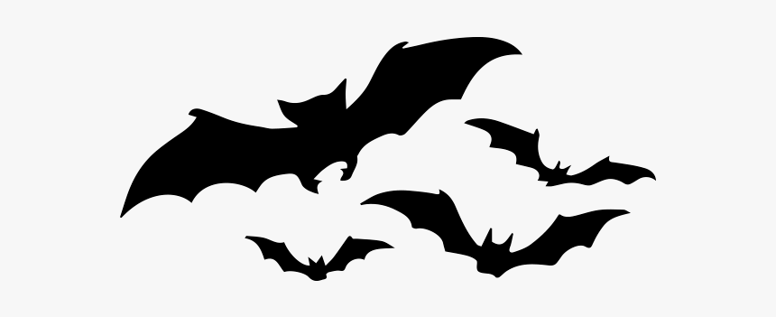 N - 7 Murcielagos - Mers Bat, HD Png Download