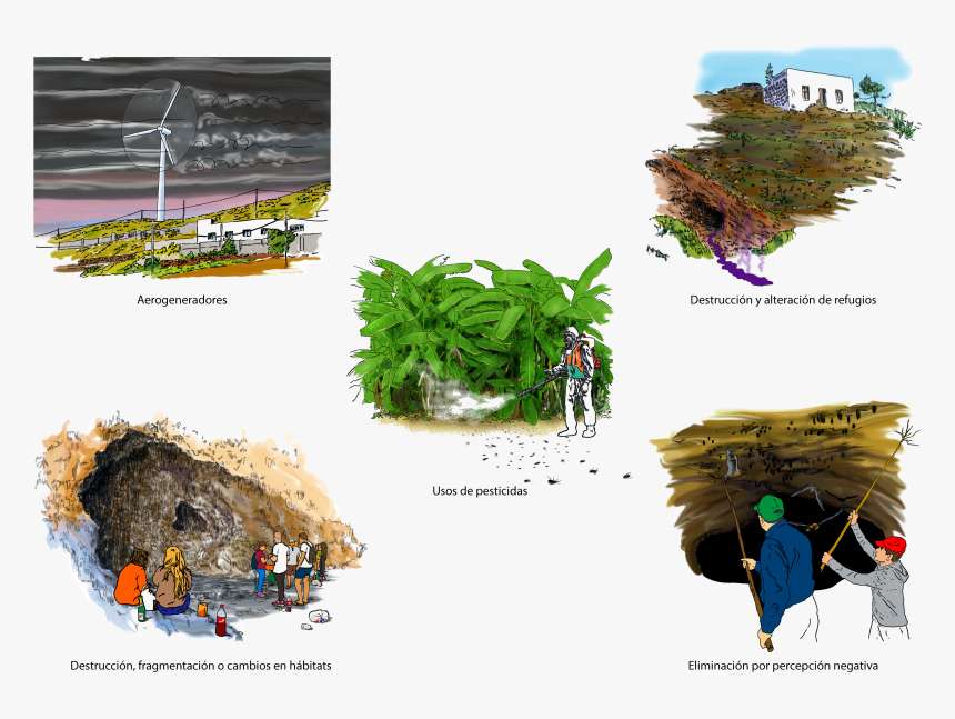 Illustration, HD Png Download