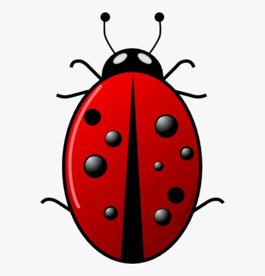 Vector Clip Art - Clip Art, HD Png Download
