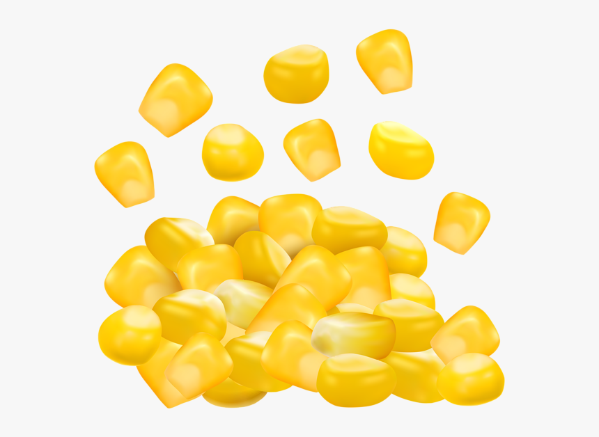 Grains Clipart Clip Art Transparent A Corn Kernel, HD Png Download