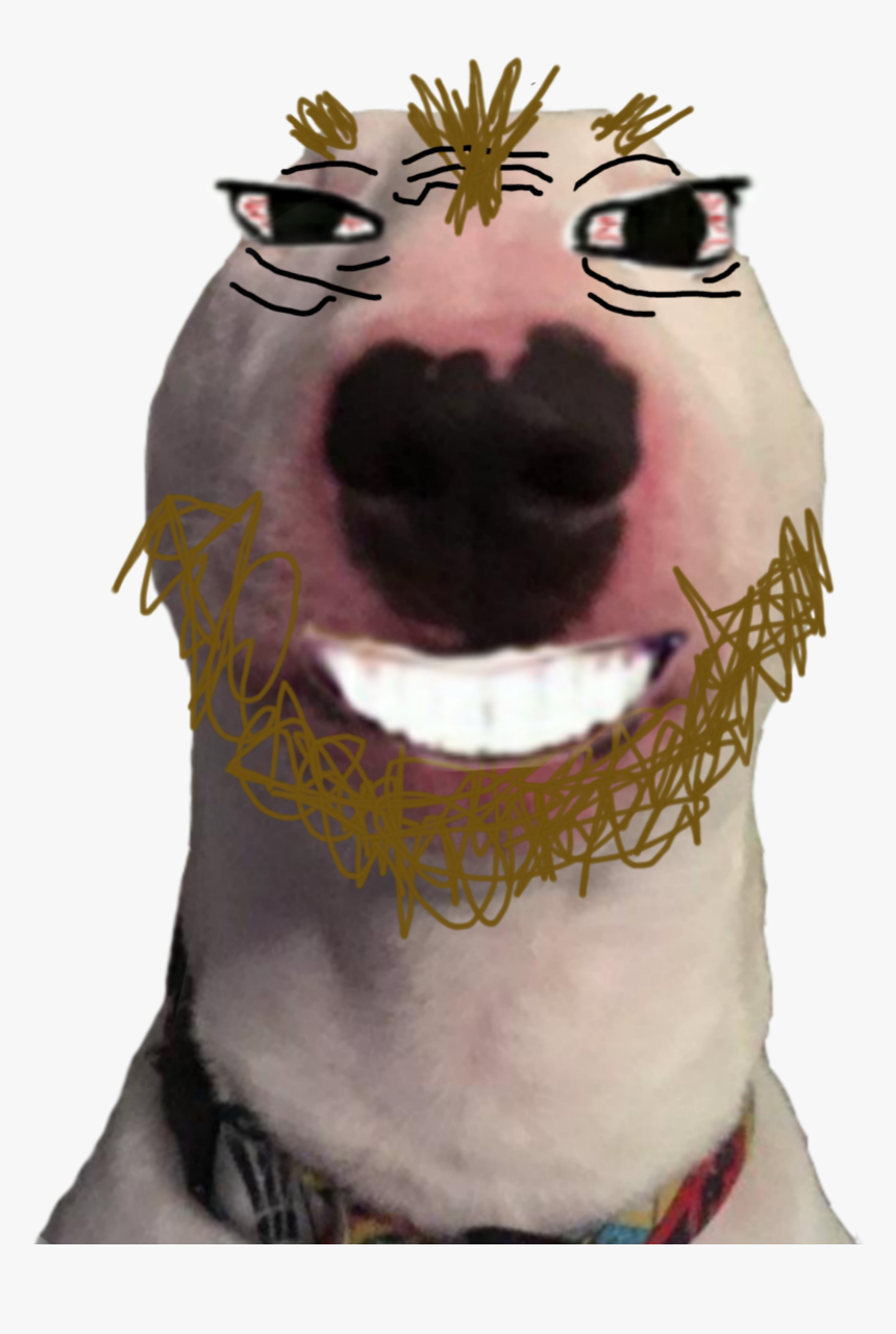 Nelson The Bull Terrier Png, Transparent Png