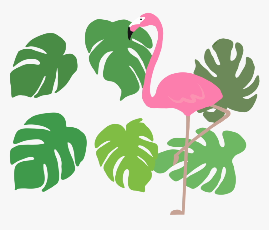 Flamingo 1 - Illustration, HD Png Download