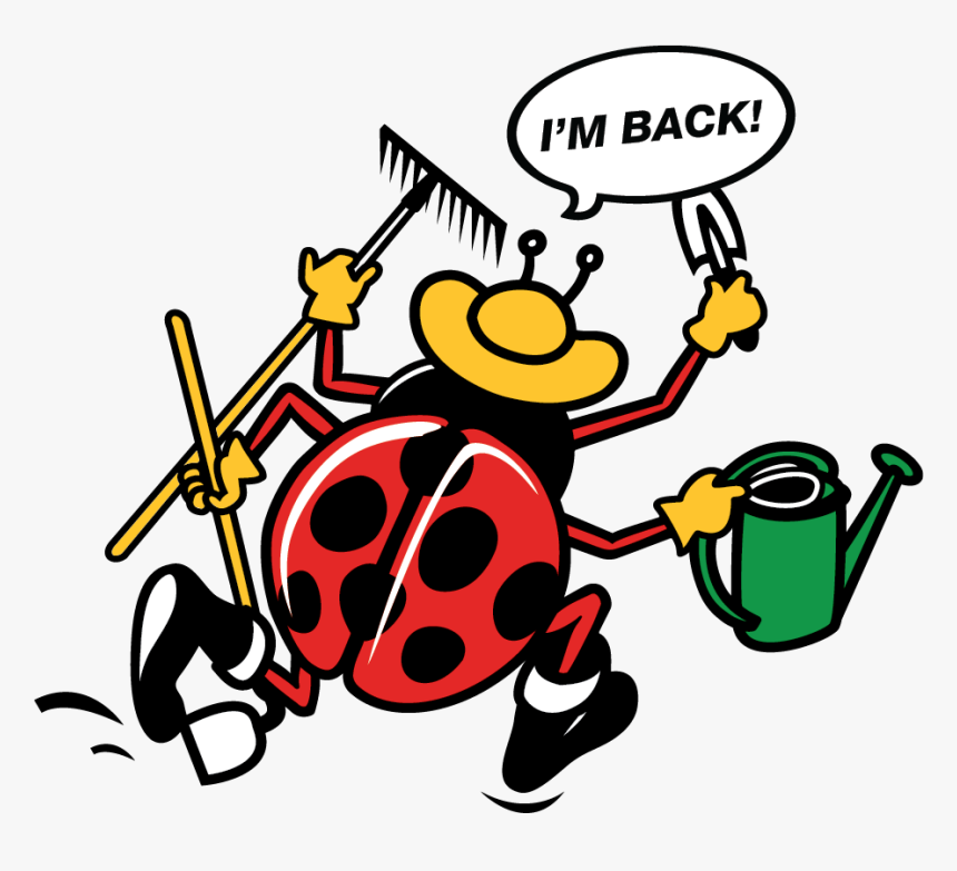 Lady Bug Cartoon Saying, I M Back, HD Png Download
