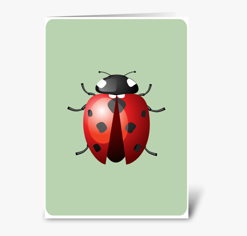 Lady Bug Greeting Card - Insects And Bugs, HD Png Download