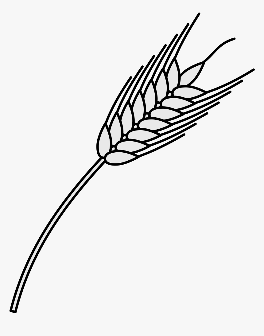 File Coa Illustration Elements Plant Svg Wikimedia - Heraldic Wheat Png, Transparent Png