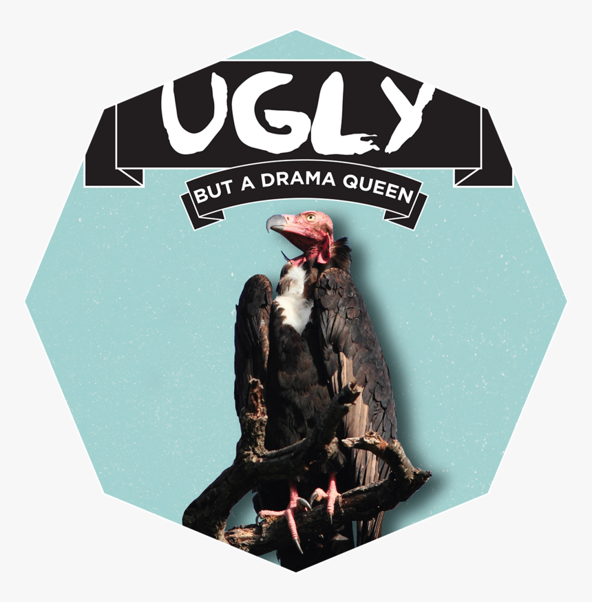 Uglyanimals, HD Png Download