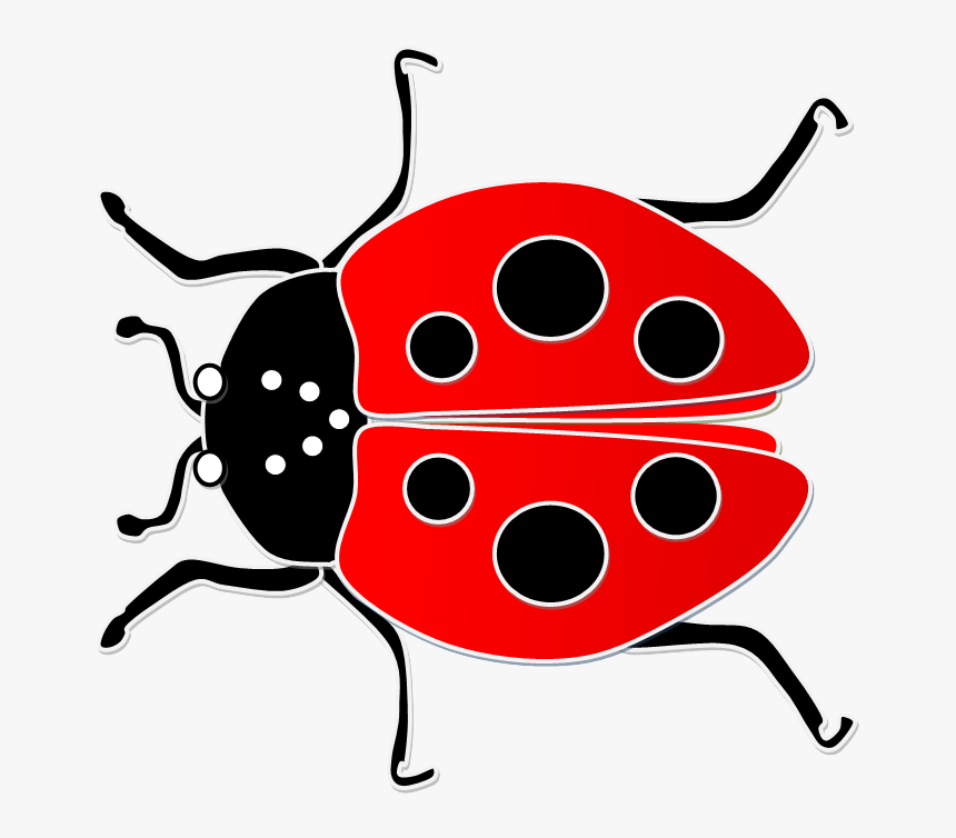 Как нарисовать божью коровку