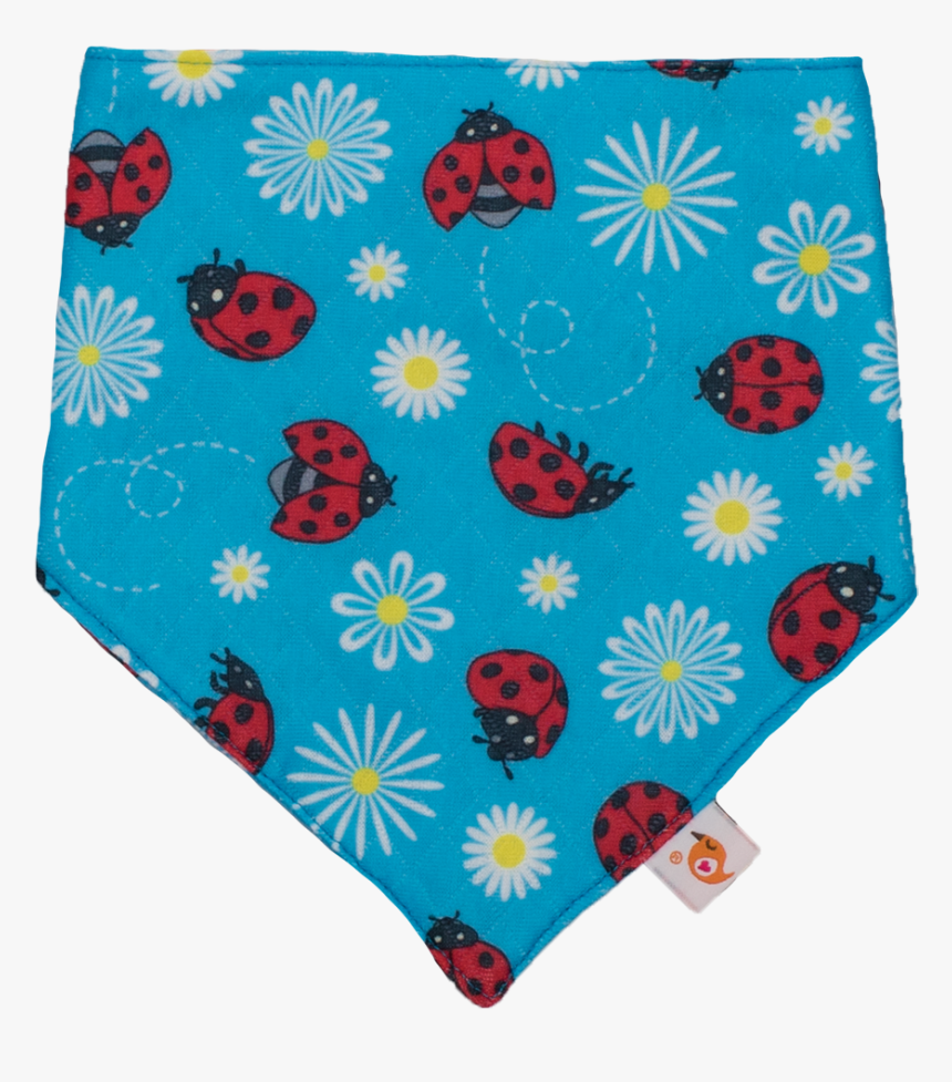 Geissorhiza, HD Png Download