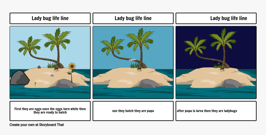 Storyboard, HD Png Download