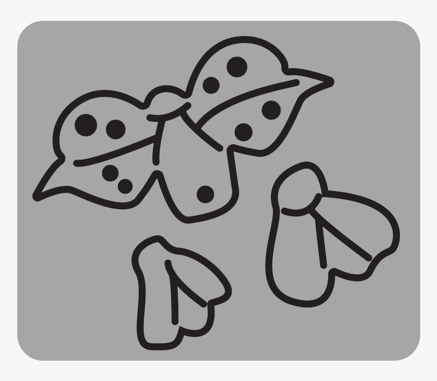 Garden Notes - Ladybugs - Cartoon, HD Png Download