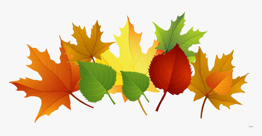 Transparent Falling Clipart - Fall Leaves Clipart Transparent, HD Png Download