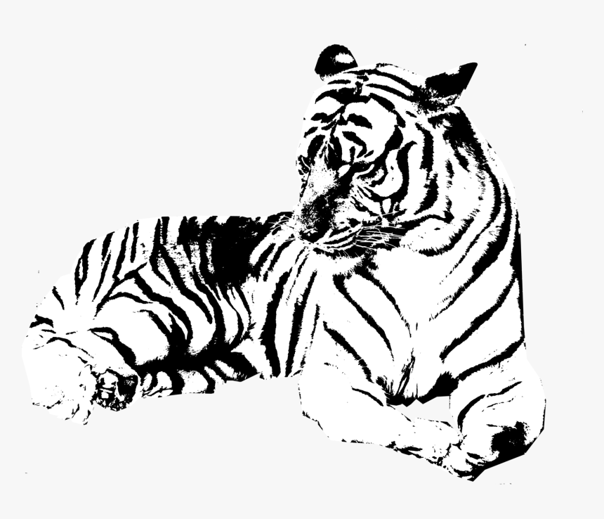 Transparent Jumping Tiger Png - Tiger Clipart Black And White Transparent Background, Png Download