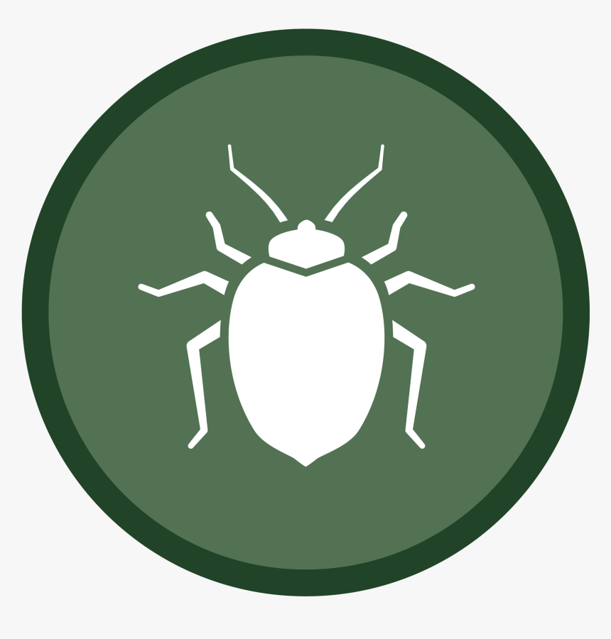 Bedbug Icon-02 - Health Dangers, HD Png Download