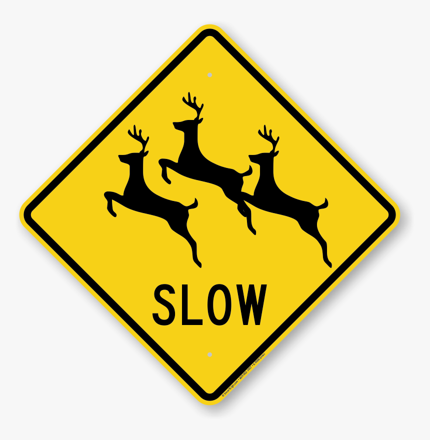 Deer Clip Art, HD Png Download