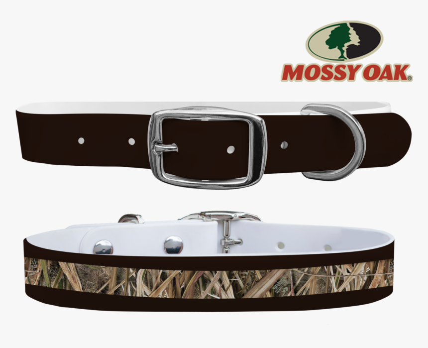 Transparent Dog Collar, HD Png Download
