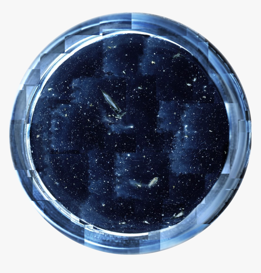 Circle, HD Png Download