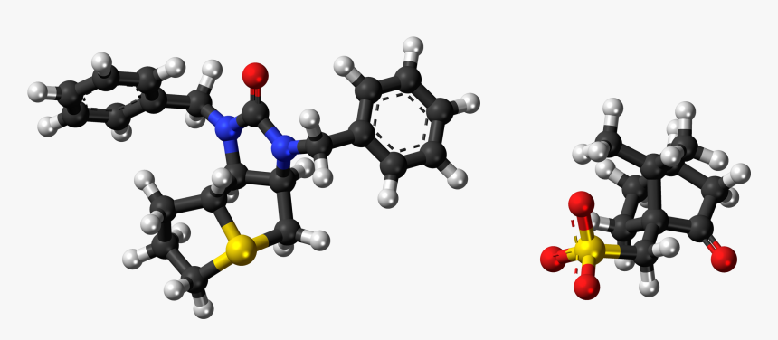 Trimetaphan Camsilate 3d Ball - Molecule, HD Png Download
