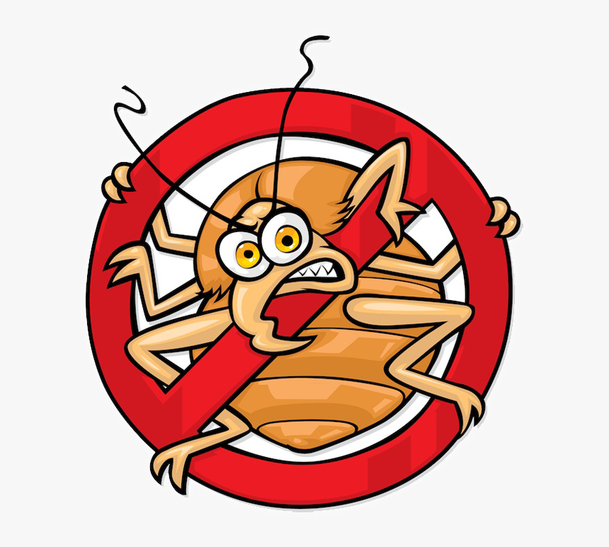 Bedbug-page - No Bed Bugs, HD Png Download