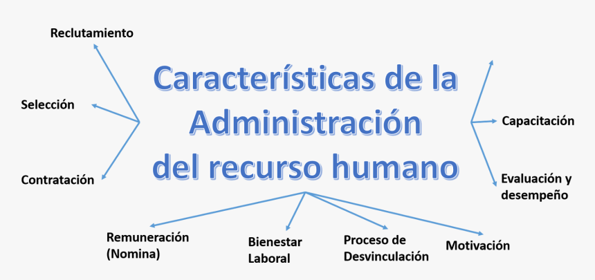 Administracion Del Recurso Humano, HD Png Download