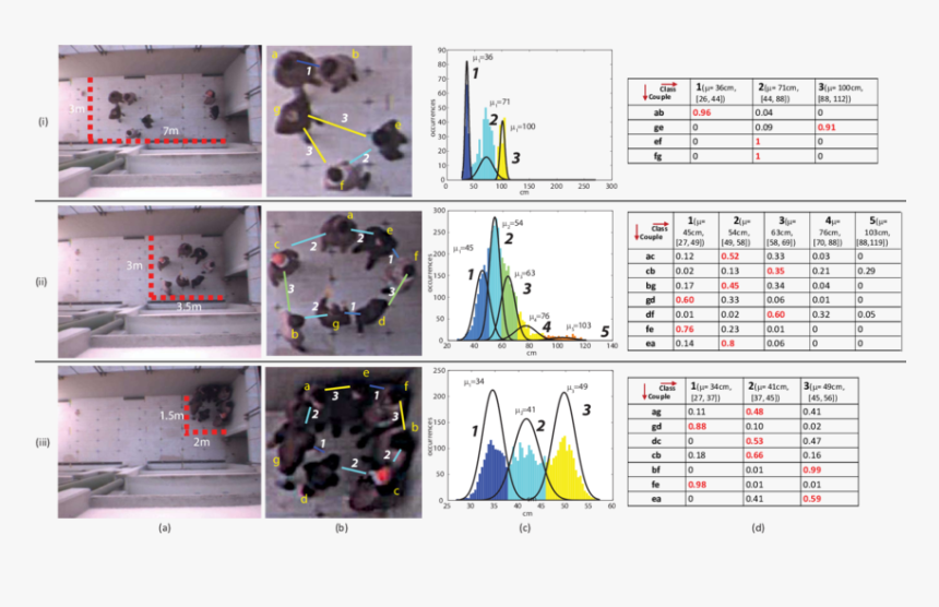 Gelo Png, Transparent Png
