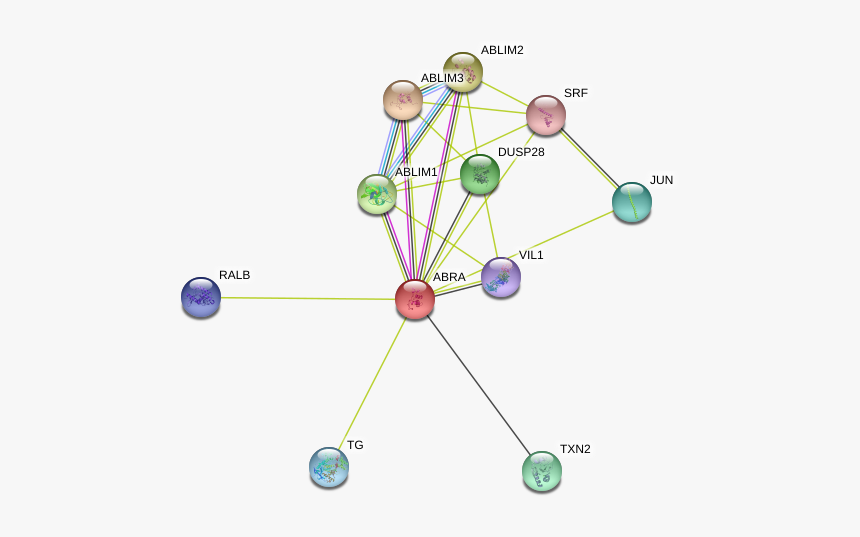 Abra Protein - Circle, HD Png Download