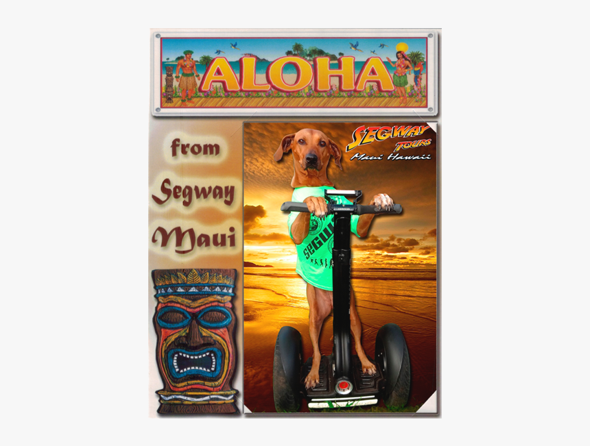 Companion Dog, HD Png Download