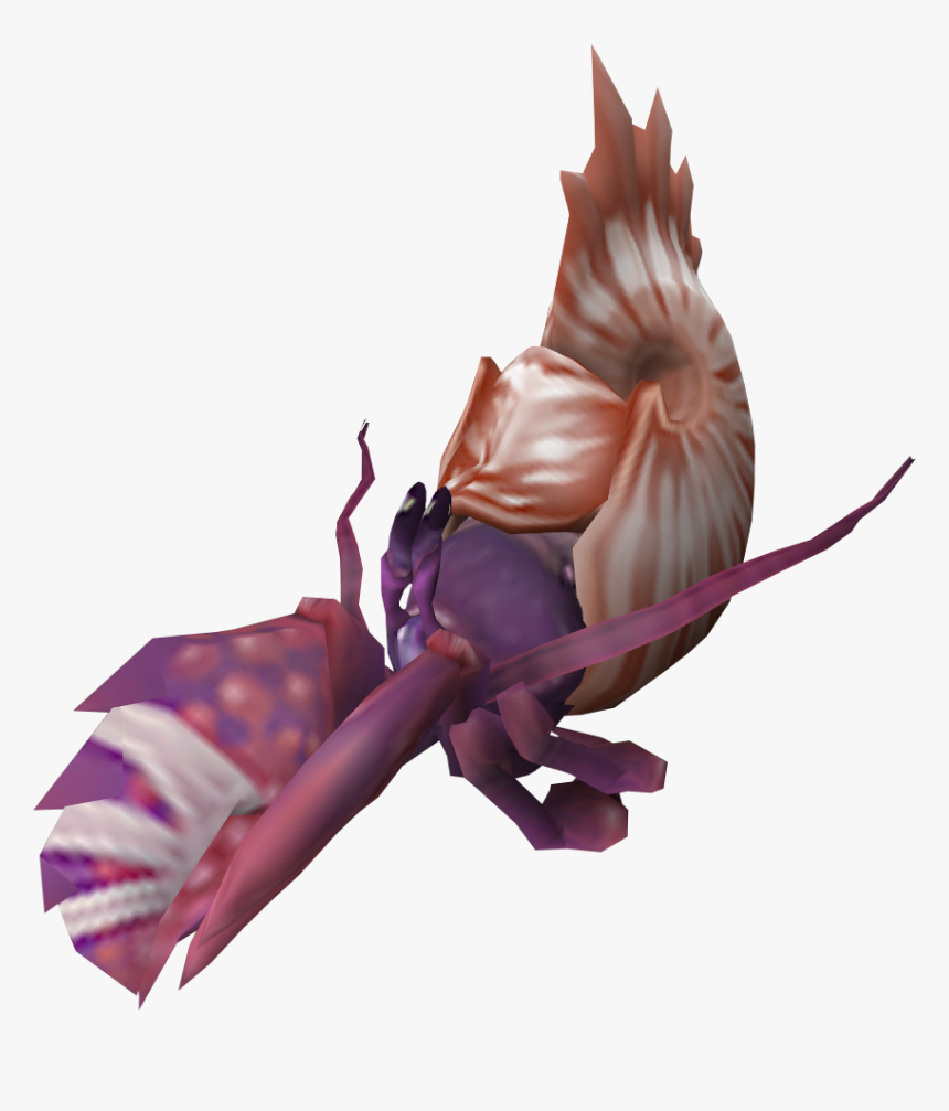 The Runescape Wiki - Hermit Crab In Nautilus Shell, HD Png Download