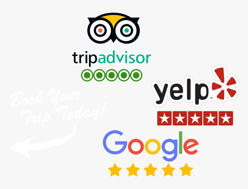 Graphic Design, HD Png Download