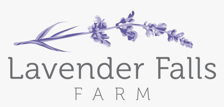 Lavender Sprig Png , Png Download - Lavender Logo Png, Transparent Png