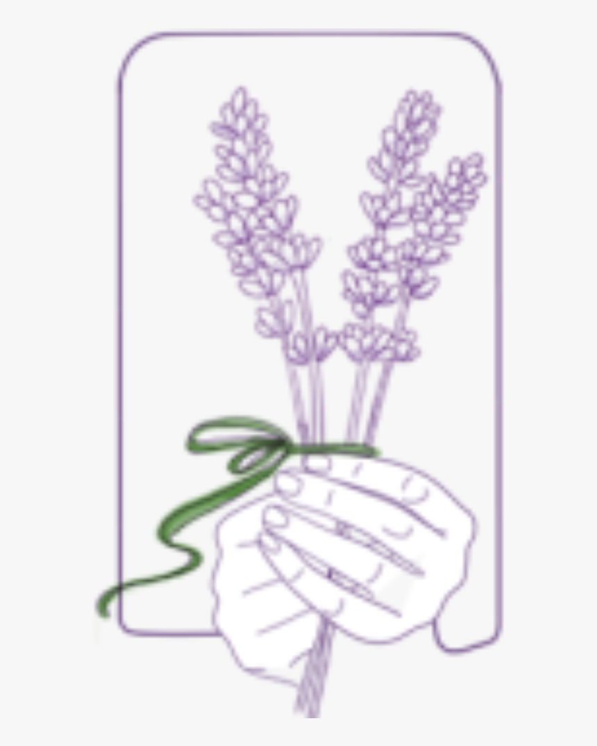 Lavender Sprigs - Illustration, HD Png Download
