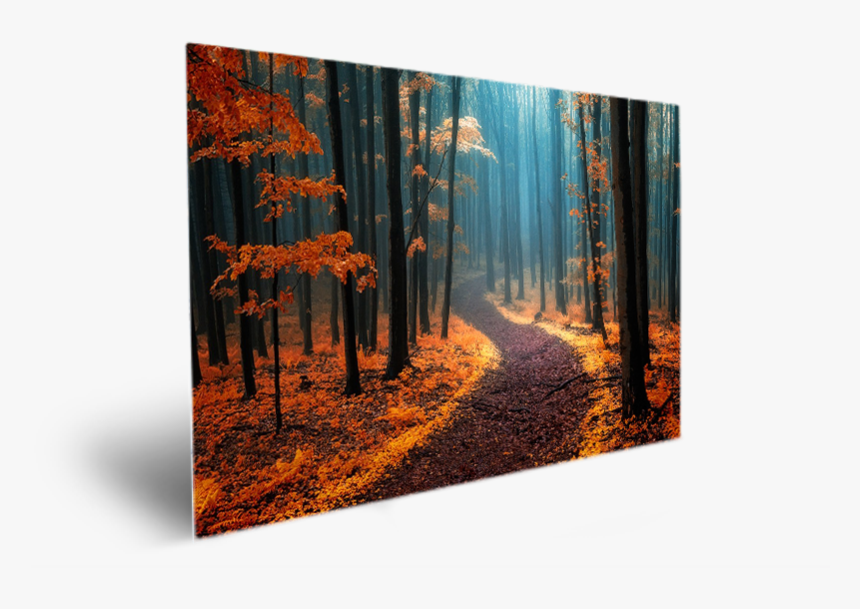Transparent Wondering Png - Autumn, Png Download