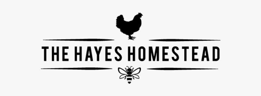 The Hayes Homestead - Rooster, HD Png Download