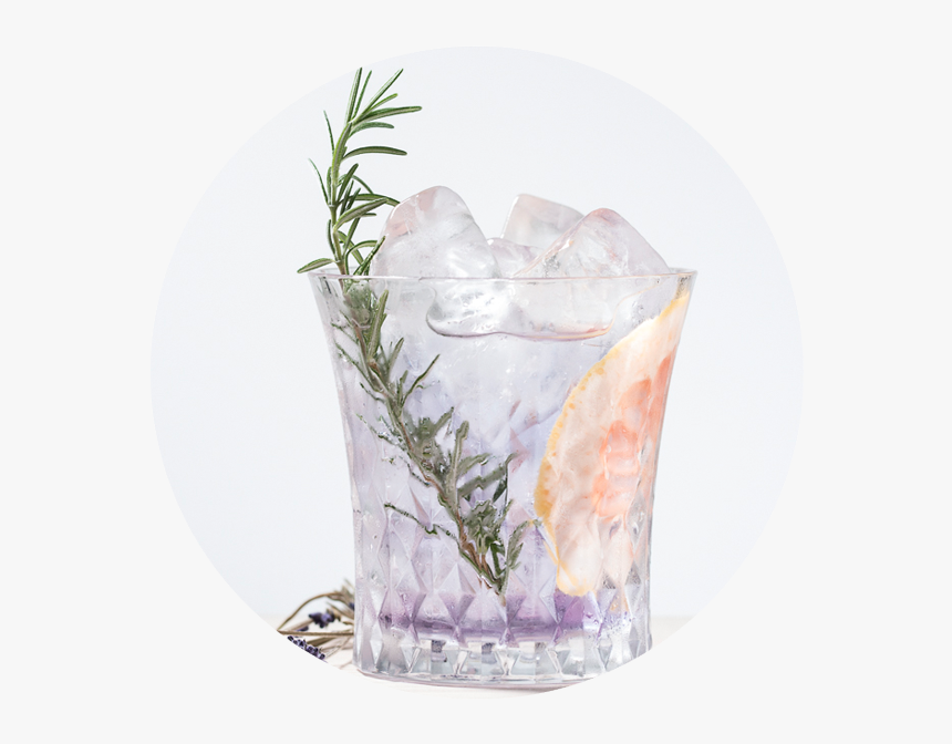 Bellflower, HD Png Download