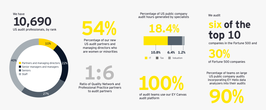 10690 Us Professionals - Ey Audit Quality, HD Png Download
