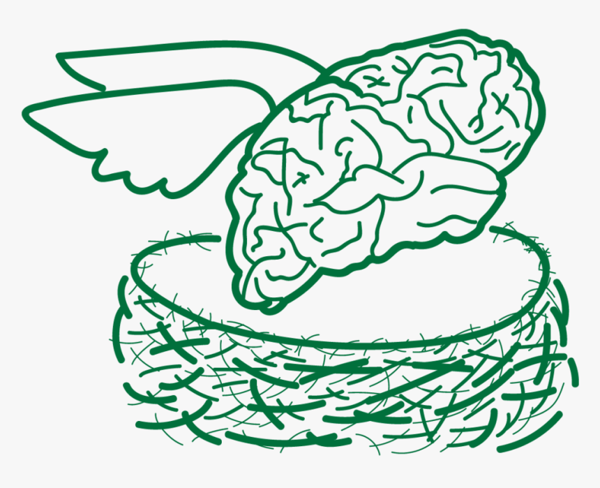 Fledging Brain-44, HD Png Download