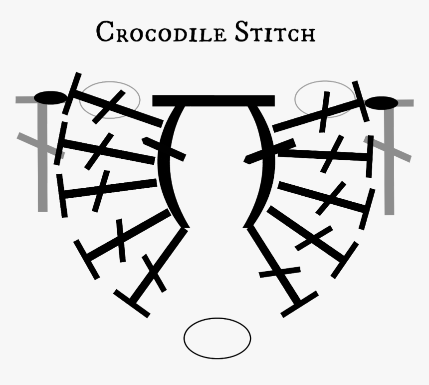 Crocstitch2 - Circle, HD Png Download