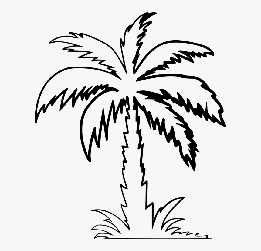 Symmetry,monochrome Photography,flowering Plant - Palm Tree Clipart Outline, HD Png Download