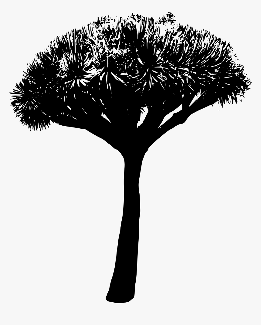 Tree Silhouette 2 - Grass Background Black And White Png File, Transparent Png