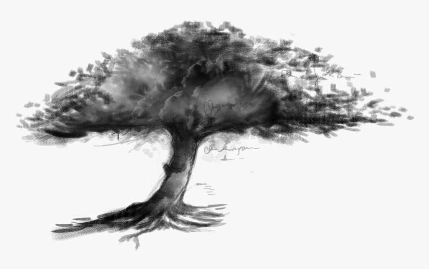 Clip Art Drawing Sketch Transprent Png - Tree Sketch Hd, Transparent Png