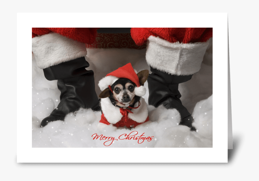 Merry Christmas Greeting Card - Chihuahua, HD Png Download