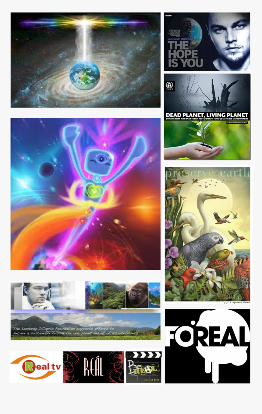 Transparent Leonardo Dicaprio Png - Leonardo Dicaprio, Png Download