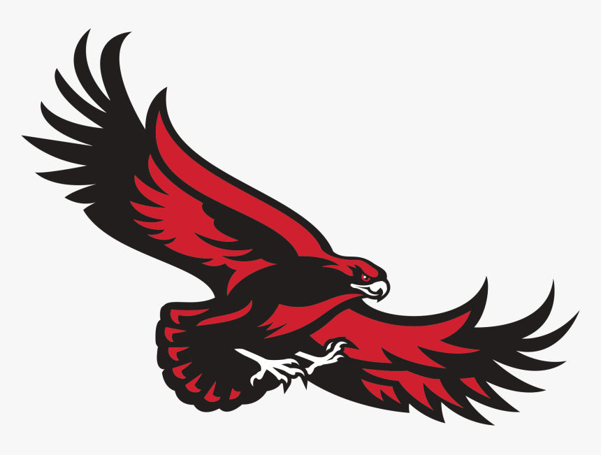 Hawk Clipart Urdu - Doctors Charter School Logo, HD Png Download