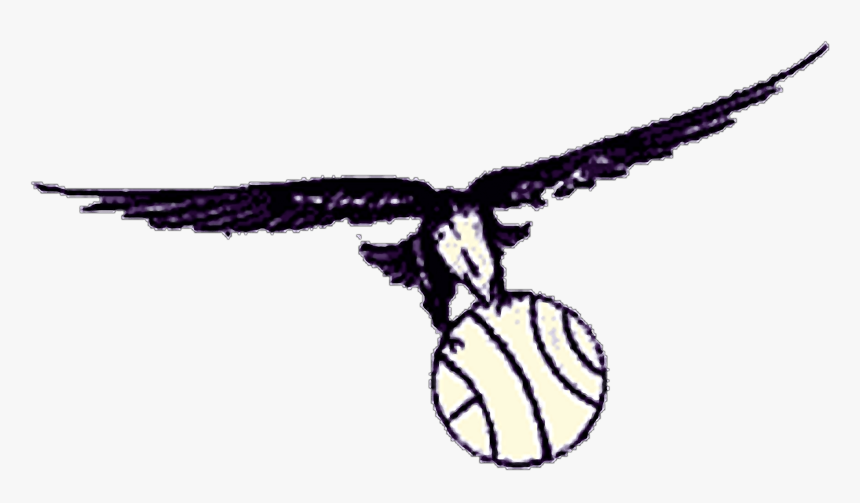 St Louis Hawks Logo Png, Transparent Png