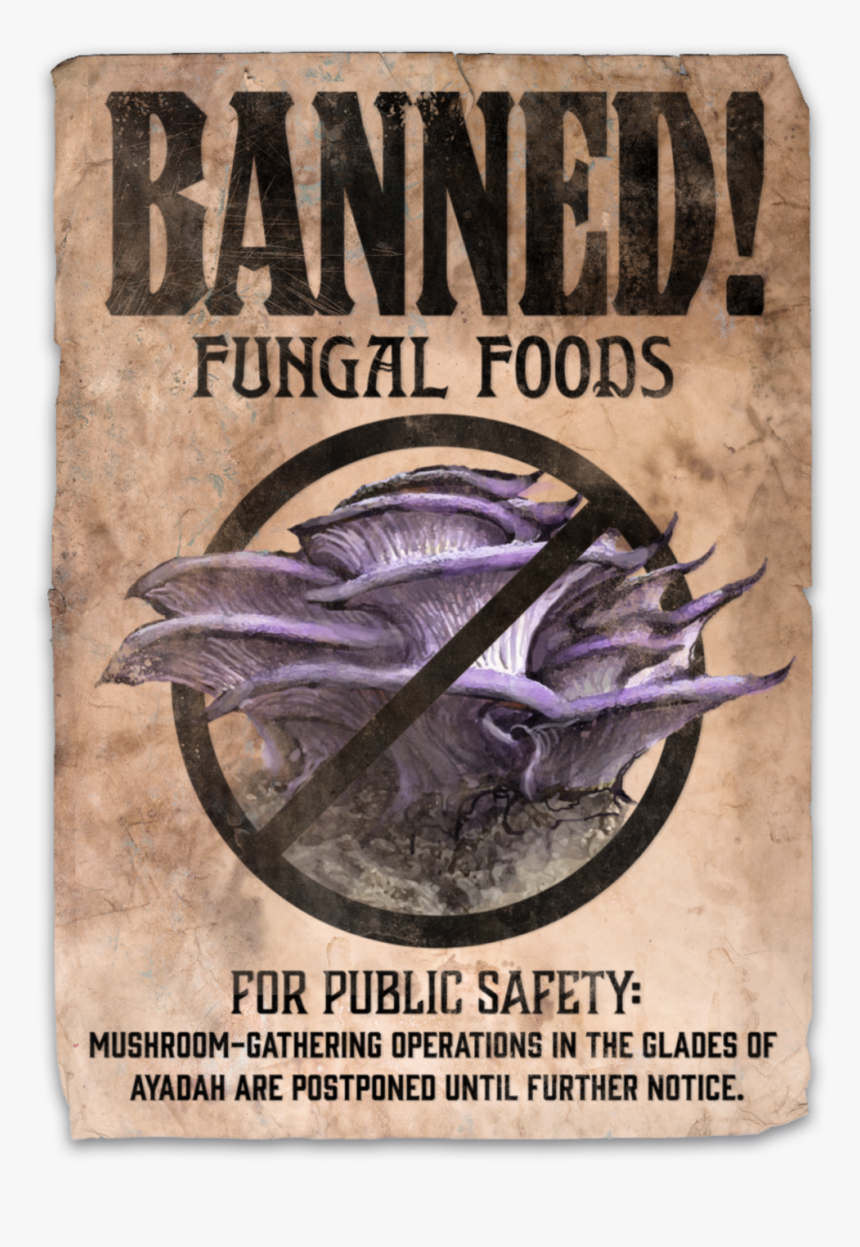 Books .png, Transparent Png