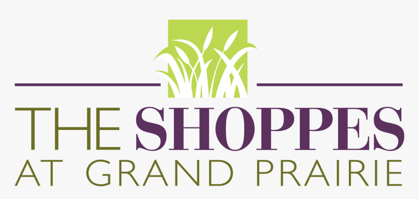 Knoxville News Sentinel, HD Png Download