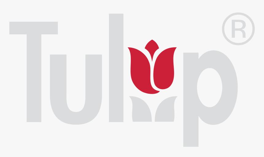 Tulip Vector, HD Png Download